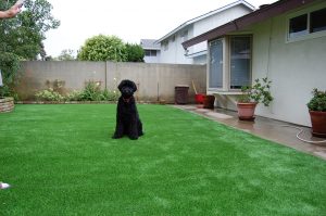 Cardiff-by-the-Sea Synthetic Turf Installation in 92007
