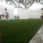 Synthetic Lawn Company Solana Beach, Top Rated Artificial Turf Installation Company