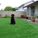 Synthetic Lawn Pet Turf Solana Beach, Top Rated Artificial Grass Installation for Dogs