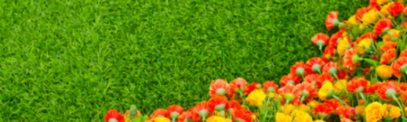 ▷5 Tips To Integrate Flowers With Artificial Grass Solana Beach