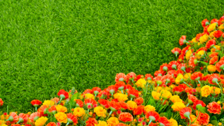 5 Tips To Integrate Flowers With Artificial Grass Solana Beach