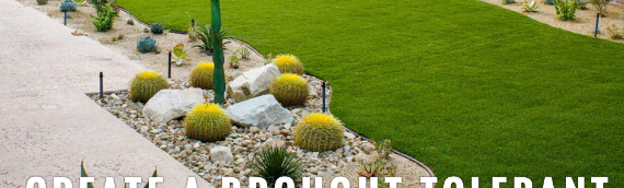 ▷7 Tips To Get Drought Tolerant Landscaping With Artificial Grass Solana Beach