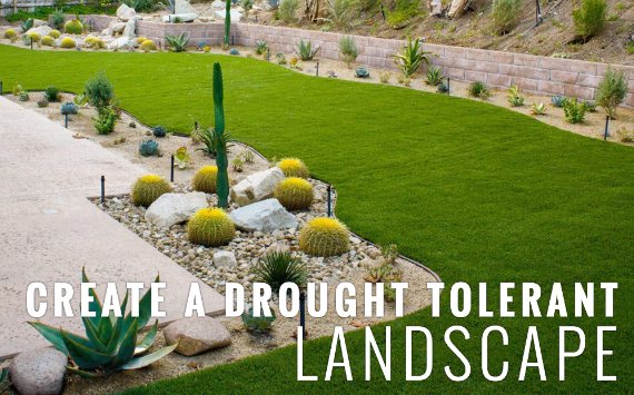 7 Tips To Get Drought Tolerant Landscaping With Artificial Grass Solana Beach