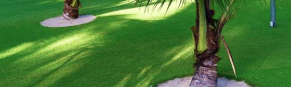 ▷7 Tips To Put Artificial Grass Around The Tree In Solana Beach