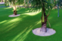 7 Tips To Put Artificial Grass Around The Tree In Solana Beach