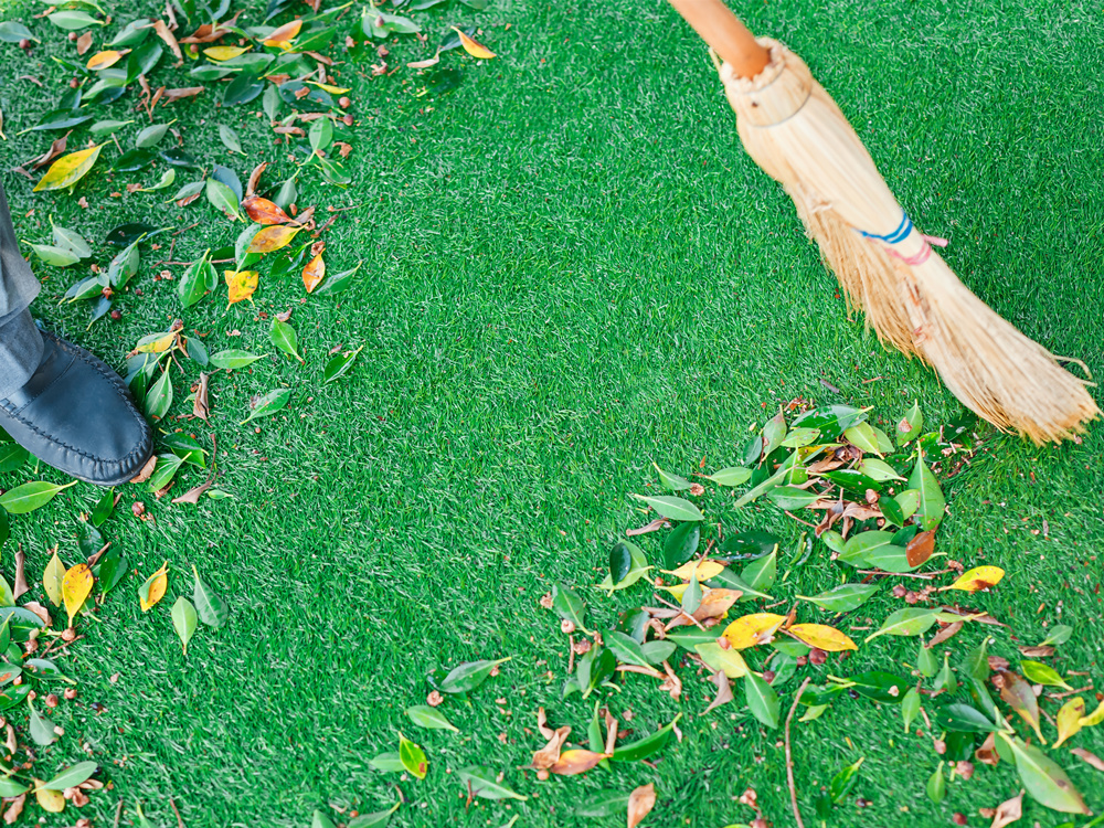 5 Tips To Deep Clean Your Artificial Turf In Solana Beach