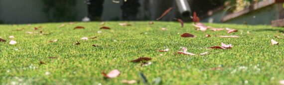 ▷5 Tips To Clean Snow From Artificial Grass In Solana Beach