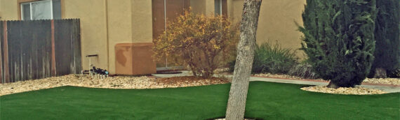 ▷5 Tips To Install Artificial Grass Around Trees In Solana Beach